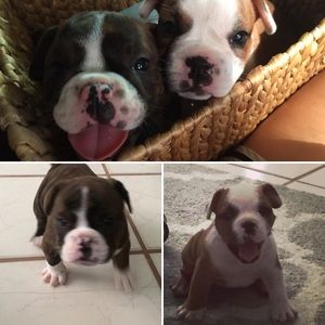 Meet your Posher, Madison